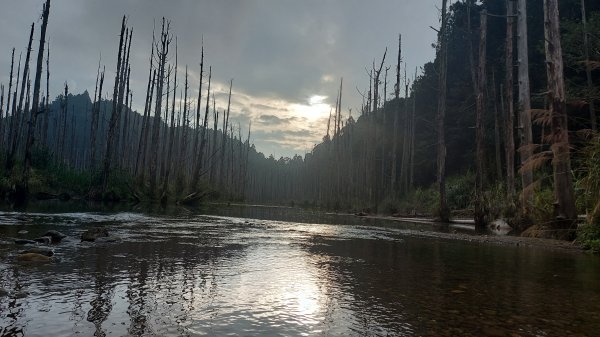 水漾森林完成一趟兩天一夜的野營營地訓練1482478