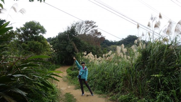 福州山、中埔山都市叢林散步去1570758