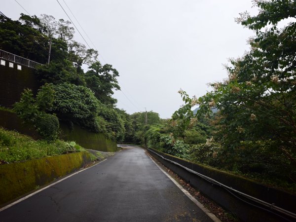 [淡蘭古道] 2026_0614 北路第三段_道路3075530
