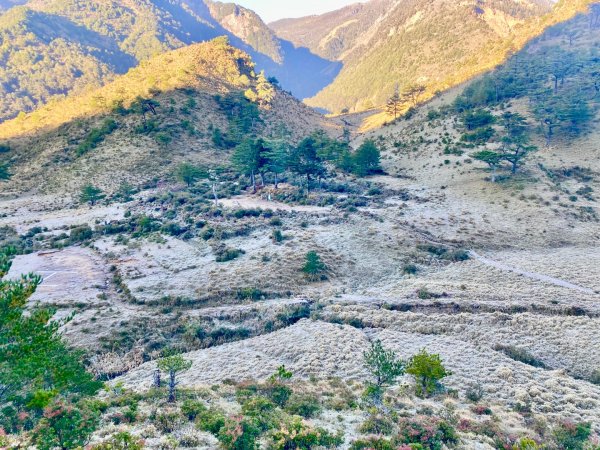 啟動高山度假模式~金牌三小隊之馬博橫斷8日2964885