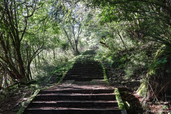 [塔塔加連峰]麟趾山-鹿林山-鹿林前山1797120