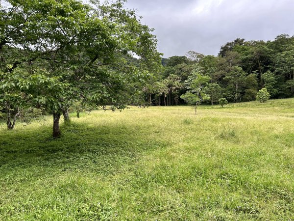 福山植物園3053393