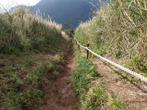 臺北大縱走第二段：小油坑-大屯山-清天宮800061