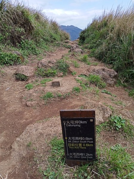 【臺北大縱走 2】鞍部→大屯群峰→清天宮1276362