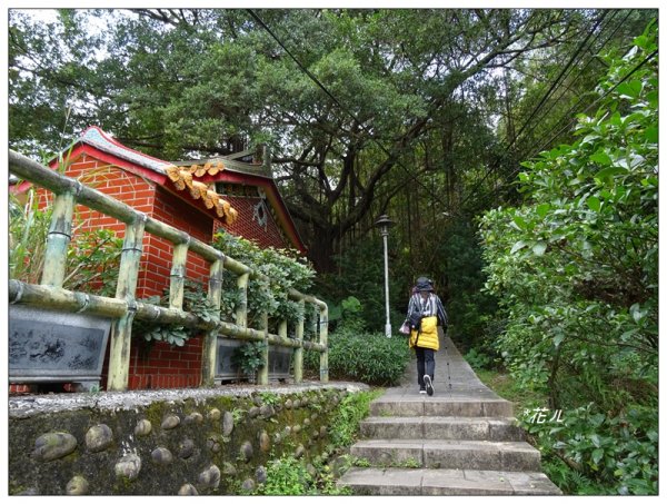三峽/鳶山彩壁(小百岳)787866