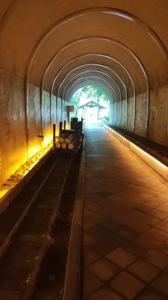 百吉林蔭步道3031340