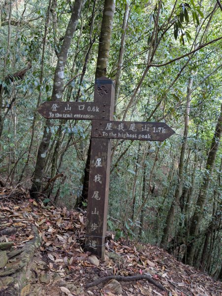 孕婦第二次的谷關七雄屋我尾山+橫嶺山3106898