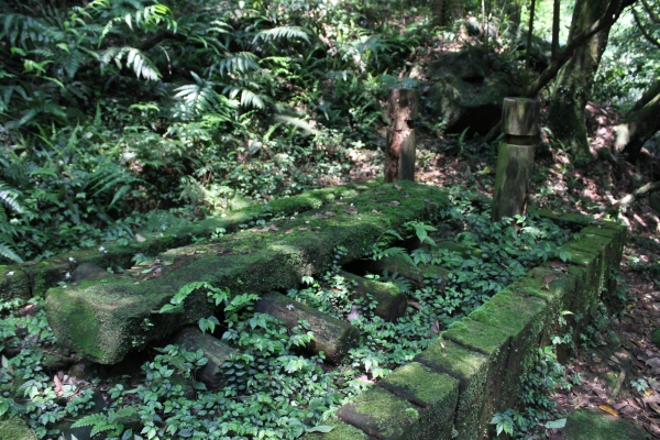 20160502台灣台北陽明山金包里步道公開90675