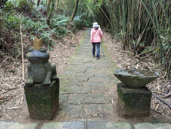 2023-01-23 劍潭山、大崙頭尾山親山步道2792367