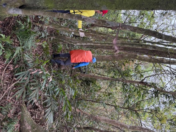 桂山路197巷 》呂奔山北峰 》呂奔山 》阿玉壩2755820