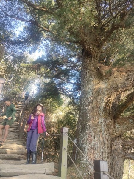 1110116 大坑四，五，三之一號步道O型一圈1584040