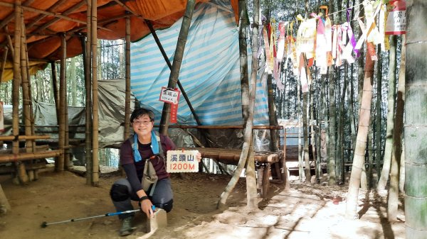 《南投》竹林台灣杉｜溪頭山竹崙山志騰山O繞202302182035826