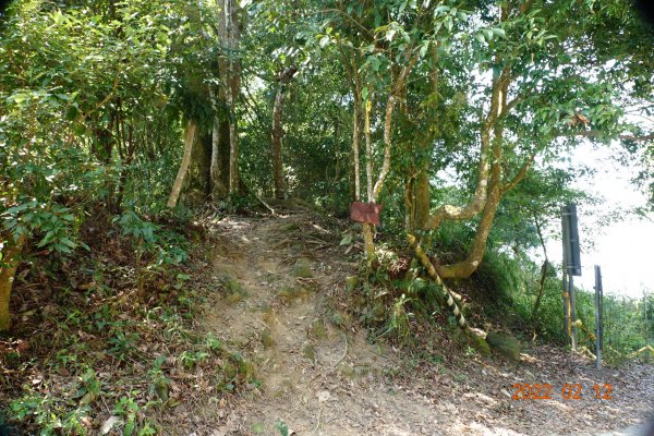 臺中 太平 暗影山1608969