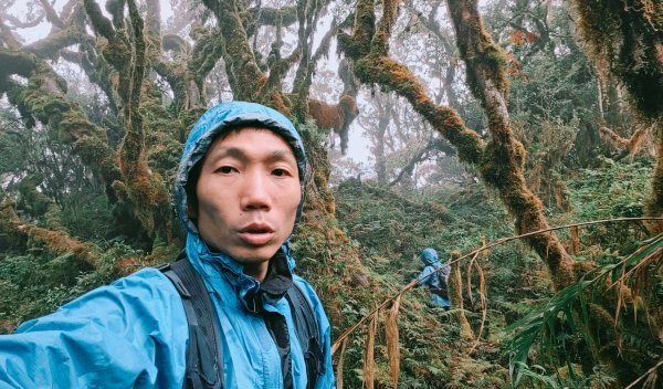 茶仁山單攻2025年4月4日2753361