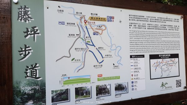 《新竹》青青石階｜娥眉藤坪步道及萬佛庵步道202509132883881