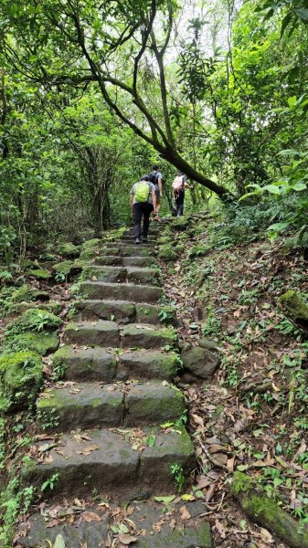 20231014 陽明山東西大縱走十連峰2312763