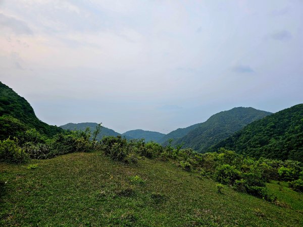 小百岳集起來-灣坑頭山2185225