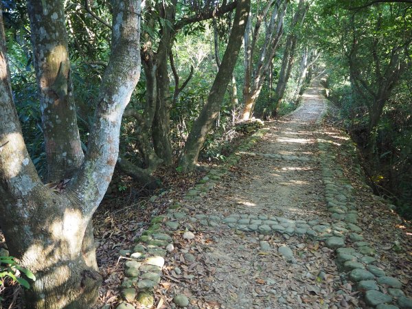 彰化隴頂古道至鳳山寺O型20181216483052