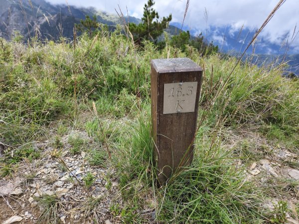 北一段(13/14)審馬陣山 2025_0906~132887541