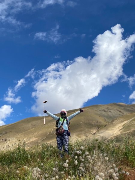 川藏318熱門的卡點-尼瑪-當惹擁措-大地之樹-雅丹地貌聖象天門2907812