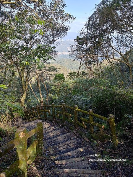 【新北】二格山步道：半小時登頂坐擁大台北2805197