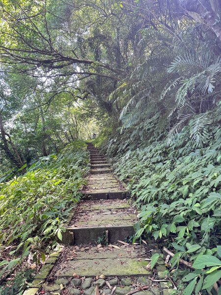 南坪古道順走馬胎古道2598414