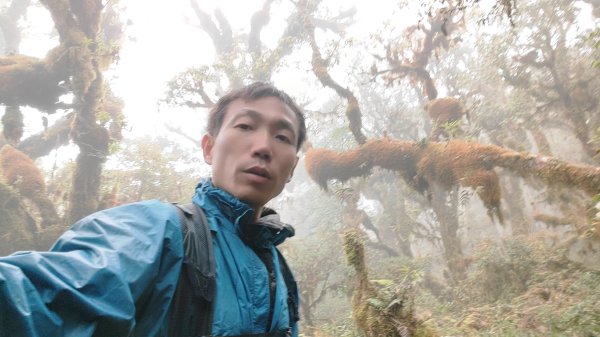 茶仁山單攻2025年4月4日2753349