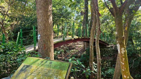 20260110楊梅福人步道-老坑山-保甲古道-東森山林步道-小楊梅步道-秀才步道茶園段2982028