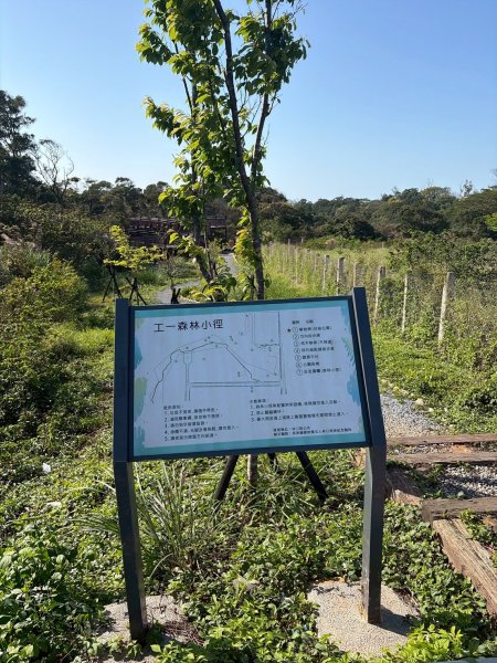 新北 林口 森林步道3015288