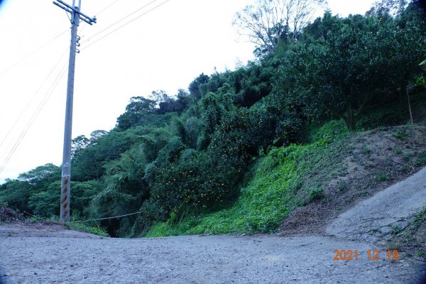 臺中 東勢 石圍牆山1555338