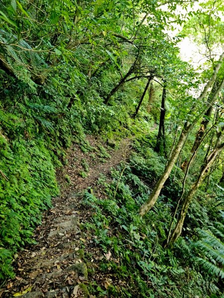 中坑古道(淡蘭中路)-新北市雙溪區2886244