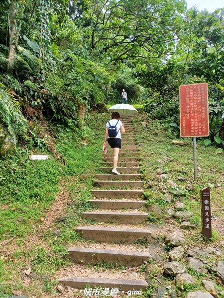 【花蓮】 楓林步道好視野x撒固兒步道、撒固兒瀑布超沁涼2247898