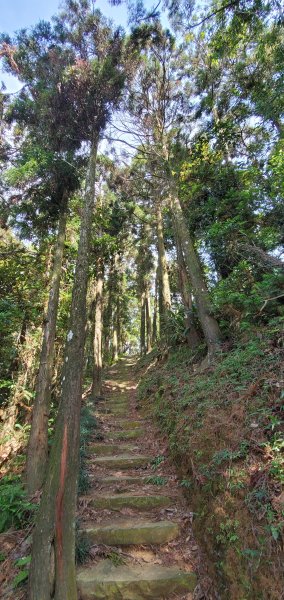 2021-08-21仙山登山步道1442783