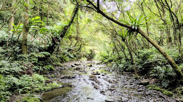 坪溪古道,石空古道2873474