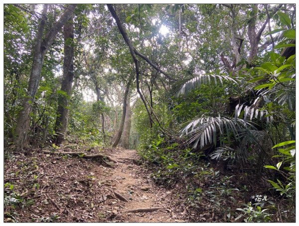 頭寮山、內湳溝山、牛角湳西南峰O型連走2738944