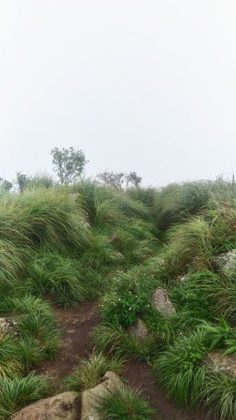 面天山後, 進攻大屯山系列的第一站174693