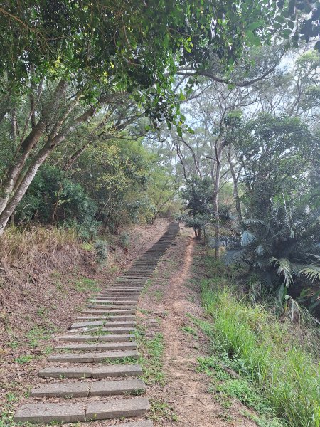 頭份鹿廚坑健行步道2734332