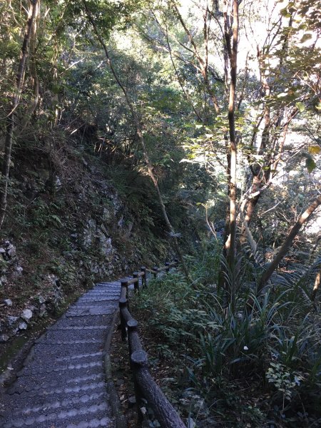 20161119_谷關七雄之四-波津加山873757