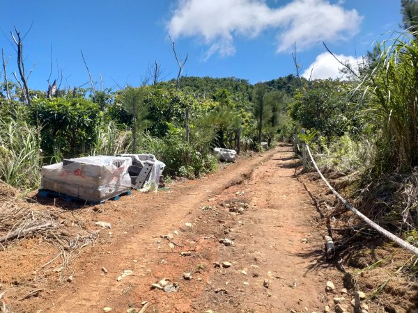 百大步道：蘭嶼大天池步道2804476