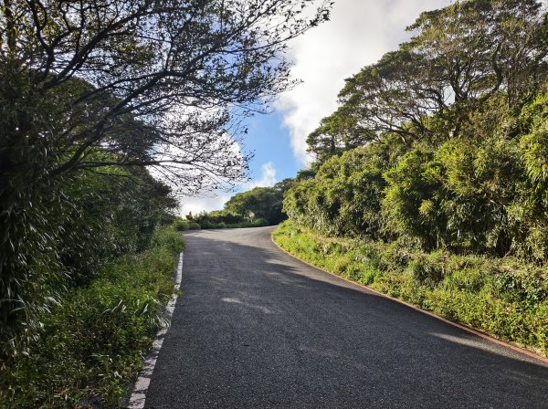 [百山百鳥尋旅-11/15] 2025_0927 大屯主峰-連峰步道_大屯山2899264