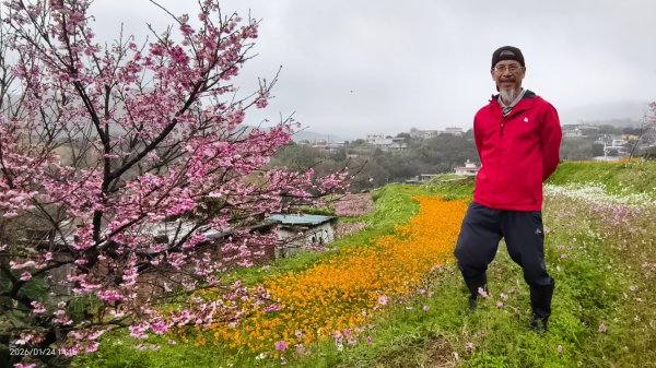 #平菁街 #鵝尾山梯田 #廣佑聖王廟 #寒櫻巷 #夕陽 1/24&252987026