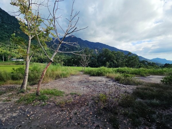 羅山村竹林步道-2025漫遊縱谷愛在花東-花蓮縣富里鄉2916722
