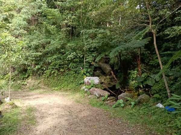 雙溪區大埤古道左線+柑腳山+570峰+大埤格+大埤古道右線O型2828780