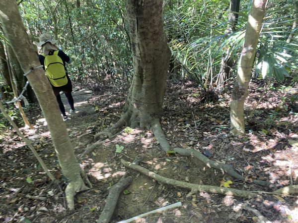 2025微笑山線大縱走尋寶集章任務-Ep.03【鳶山山系】鳶山彩壁段2893649