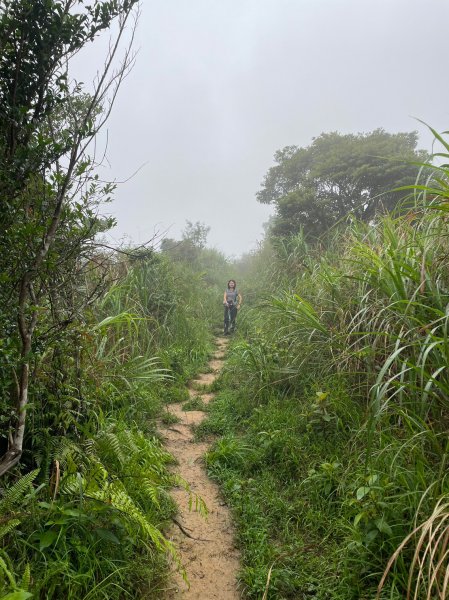 小百岳(84)-鵲子山-202306042178210