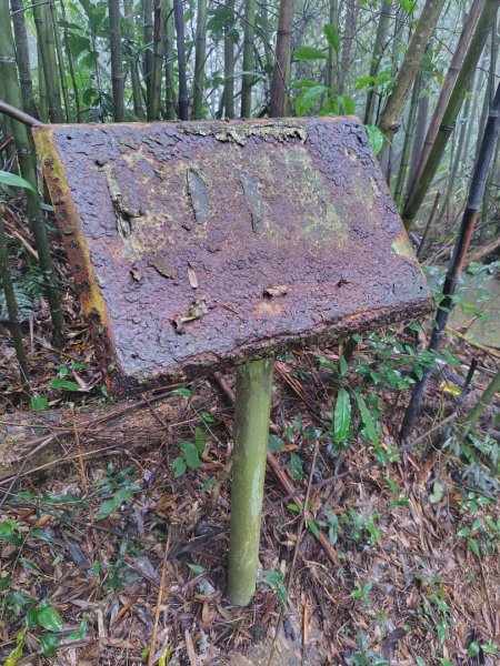 苗栗關刀山2975086