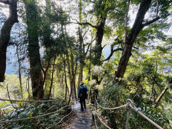 1141129巨人之手｜雪山坑登山步道2949160