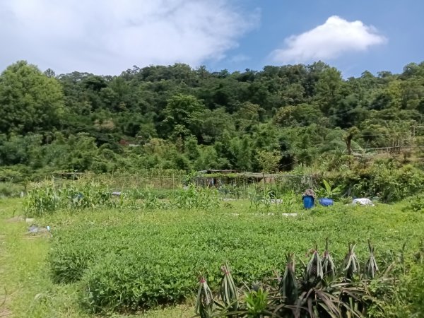 汐止區姜子寮田園步道+旗尾崙+姜子寮絕壁、瀑布O型2822241