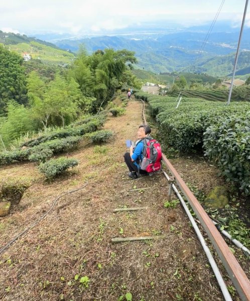 羊彎上武岫大崙山茶園尋山頭2824930