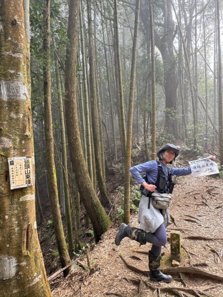 留龍頭-嶺頭山-金柑樹山-忘憂森林（2025必去）2720368